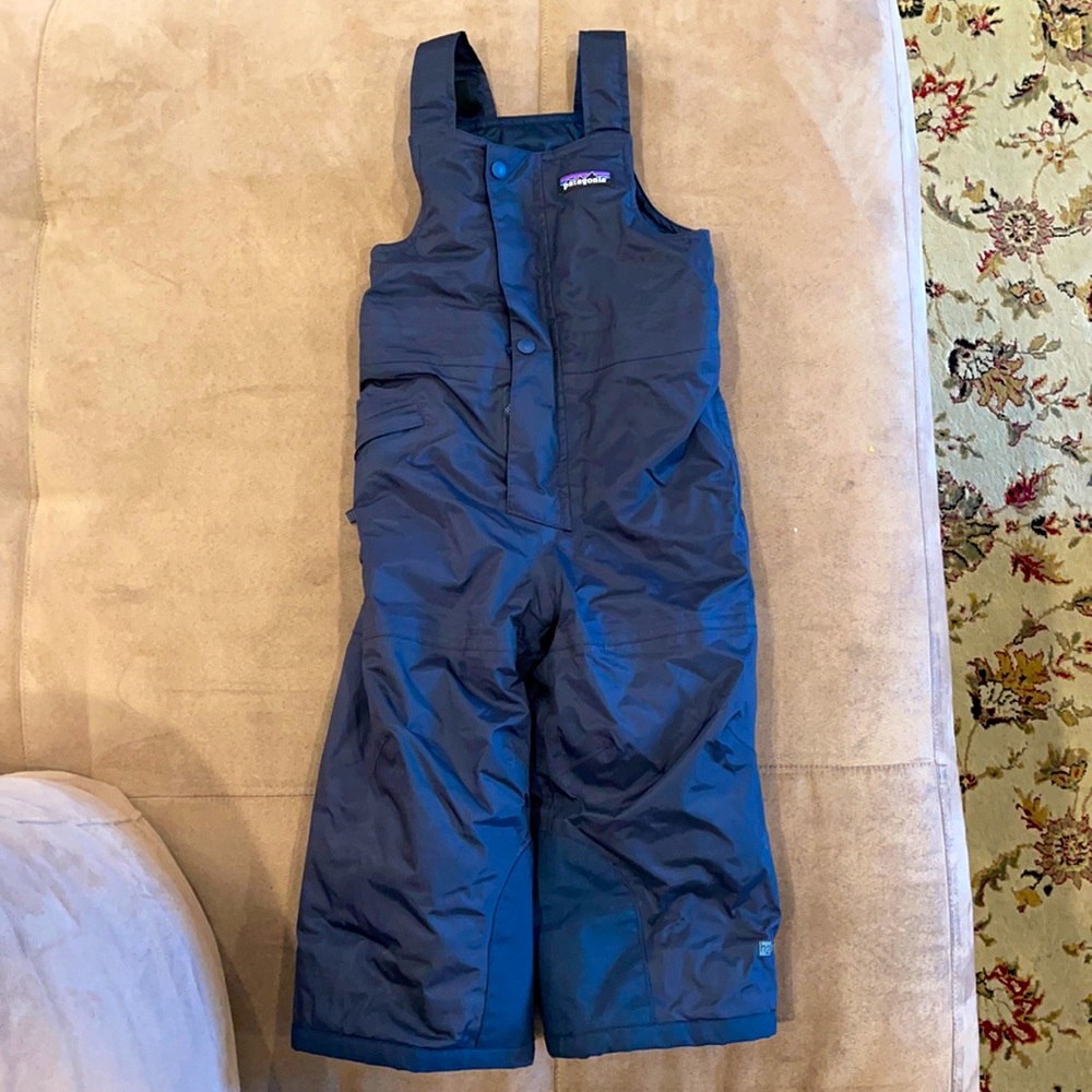 LIKE NEW!! 2T Patagonia Snow pants/snow bib!!